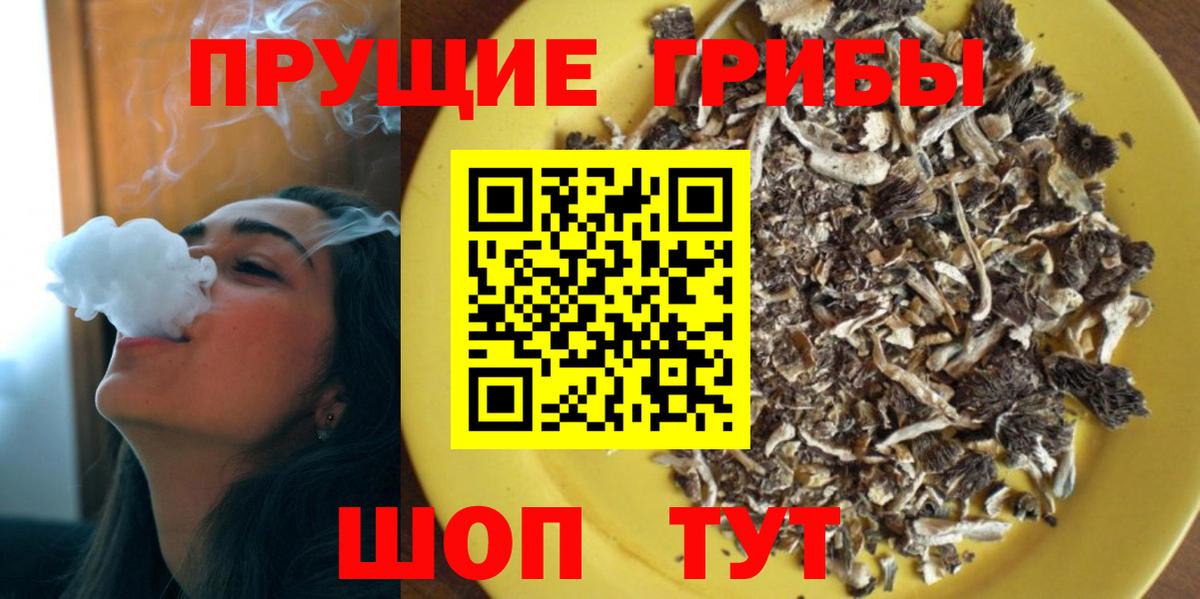 Тихвин  Кокаин  Где купить наркотики?  МЕФ   МАРИХУАНА  ГАШ  Вход с VPN  ГАШИШ 