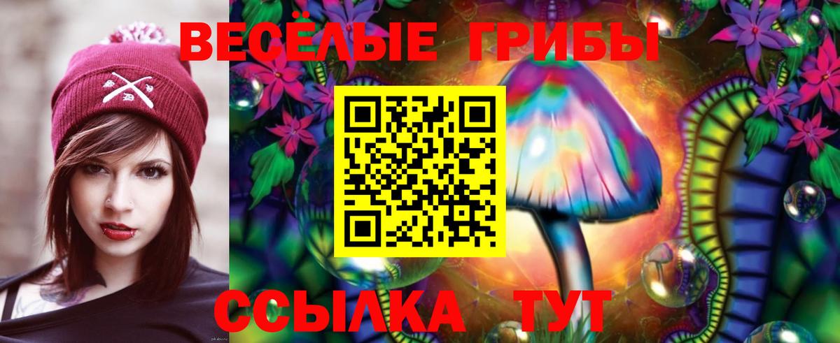 Тихвин  купить  цена  Вход с VPN  Галлюциногенные грибы Magic Shrooms 