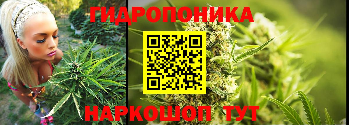 Бошки Шишки MAZAR Тихвин